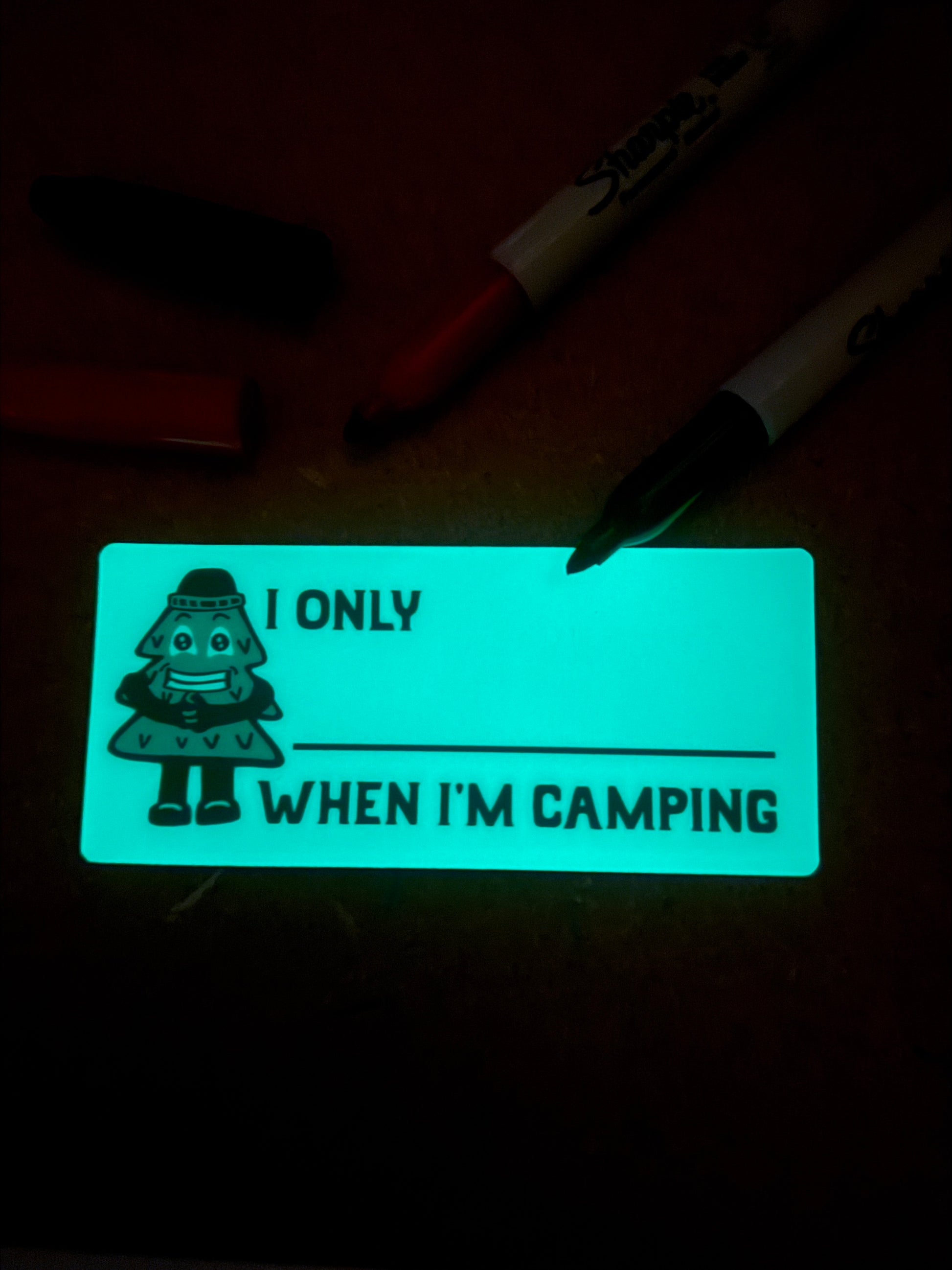 Camp Vice